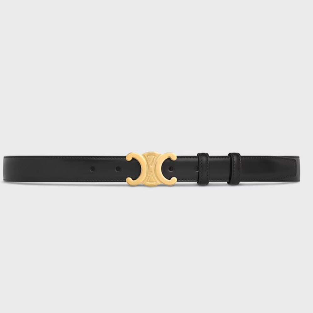 CELINE SMALL TRIOMPHE BELT IN TAURILLON LEATHER - Picture 10 of 13